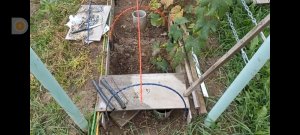 ВИНОГРАДНАЯ ШПАЛЕРА