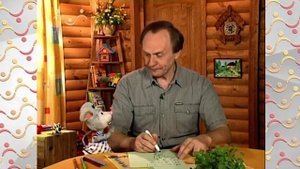 Шишкин Лес утро. Режим дня