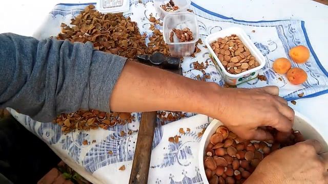 КАК КОЛОТЬ ОРЕХИ. ЛЮБЫЕ смотреть онлайн