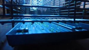 УНИЧТОЖИТЕЛЬ ЛЕТАЮЩИХ НАСЕКОМЫХ MO EL 7298 GEKO