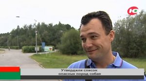 Питбульмастиф только в наморднике: югорчане боятся собак бойцовских пород