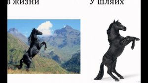 сравниваем реальных лошадей и лошадей фирмы шляйх (часть 1)