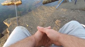 И снова море. Сравниваю разную прикормку для ловли пеленгаса. 01 08 2021