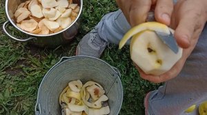 Чем подкормить ГОРТЕНЗИИ в августе.Длительное и красивое цветение вас порадует