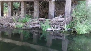 18.08.23г. река Ворона. Еще один автомобильный мост