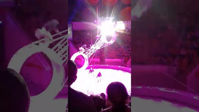 Колесо смелости в цирке империЯ львиЦ