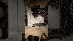 Ремонт переднего стакана стойки ваз 2110_98 года часть 2 финишь.