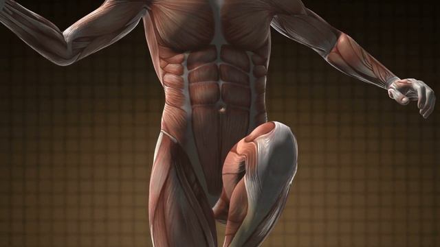 7 sencillos pasos para DESTRUIR LA GRASA DEL PECHO смотреть онлайн