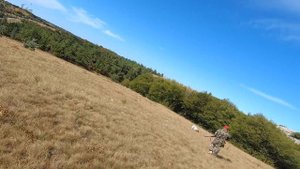 Охота на перепела, Ай-Петри, Крым, 2020