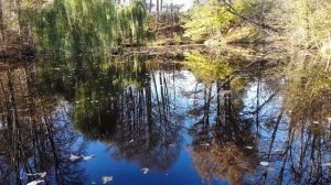 Усадьба в Баранцево 33 Га