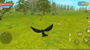 Лай фхак: как победить древнего лося играя за орла в Wild Kraft