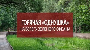 Купить 1-комнатную квартиру | Большая кухня | Рядом с парком