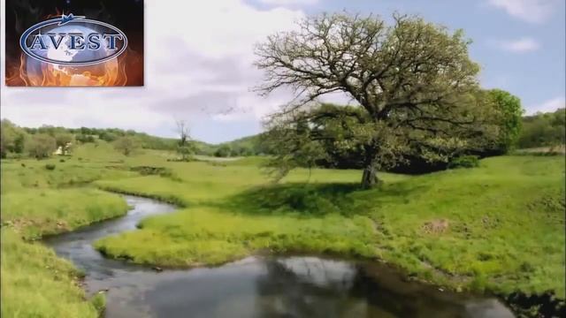 Лечебный свойства ОЗОНА смотреть онлайн