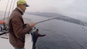 КРЫМ  ловим СЕЛЕДКУ / Ялта / осень