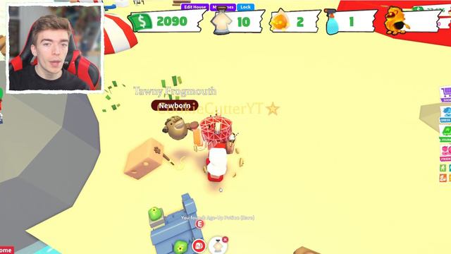 Opening 100 LURES In Adopt Me For PETS смотреть онлайн