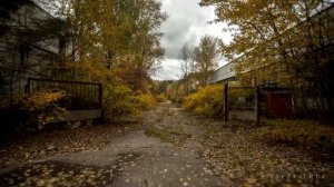 Сталкер топ релакс фм  музыка  Подпишись не пропускай новинки #stalker  #релакс