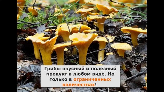 Грибы, которые можно не готовить...