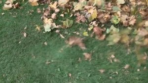 ECHO PB-770 løvblæser