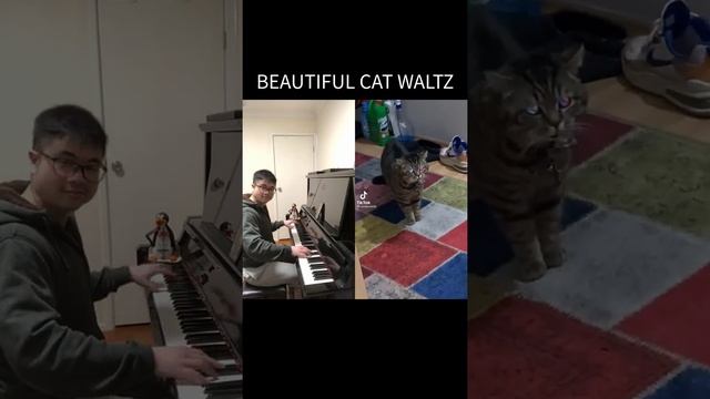 Piano Duet with a Cat singing a Beautiful Waltz