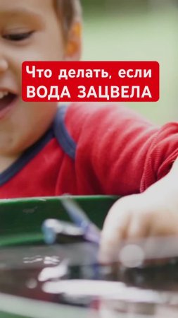 ПРОСТОЙ способ СПАСТИ ВОДУ в баке от цветения