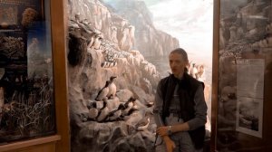 Как снимать птиц