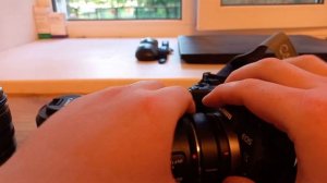 Отображения зоны фокусировки у Canon RP