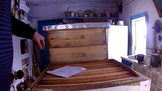 причины гибели половины пчёл за зиму 2018 года смотреть онлайн