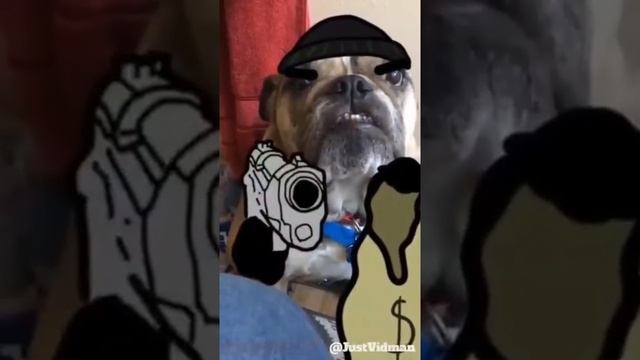 Деньги. Сейчас.