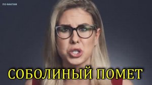 вДно | ПО ФАКТУ - СЯДЬ ЗА НАВАЛЬНОГО