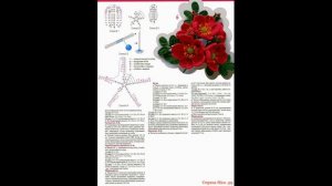 Схемы // Цветы крючком