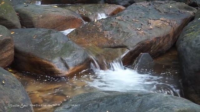 CHA CHA CHA | RUMBA | MAMBO | TANGO | 3 Hour Relaxing Guitar Music смотреть онлайн