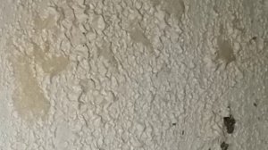 Как смыть краску с бетонных стен без специальных приборов, в домашних условиях