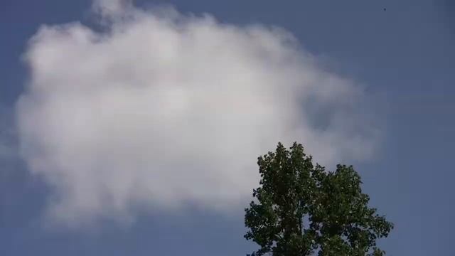 Nature on a Canon VIXIA HF S200 смотреть онлайн