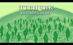 птенчик