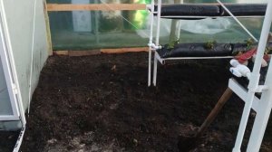 Подготовка грунта для посадки малины и ежевики в теплице!!! Это важно знать!!