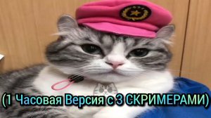 Комару, перехожу к угрозам ► 1 Часовая Версия (3 СКРИМЕРА)