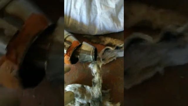 Що в середині глушителя мотоцикла. Частина перша. смотреть онлайн