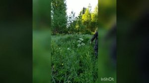 Хариус в Вологодской области 2021