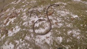 Припять.Школа.Песчаное плато."С роддома в .Морг". 4 часть