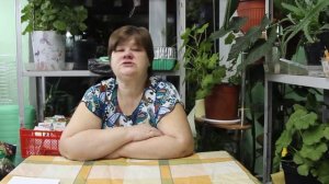 Как вырастить крепких цыплят? Отвечаю на ваши вопросы.