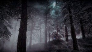 Засыпайте под приятную зимнюю погоду со звуками снега и метели в необыкновенном сосновом лесу