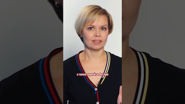 КАК УЧИТЬСЯ В АНГЛИИ БЕСПЛАТНО || В ПРОФИЛЕ ССЫЛКА НА НАШИ МЕРОПРИЯТИЯ #интерстади