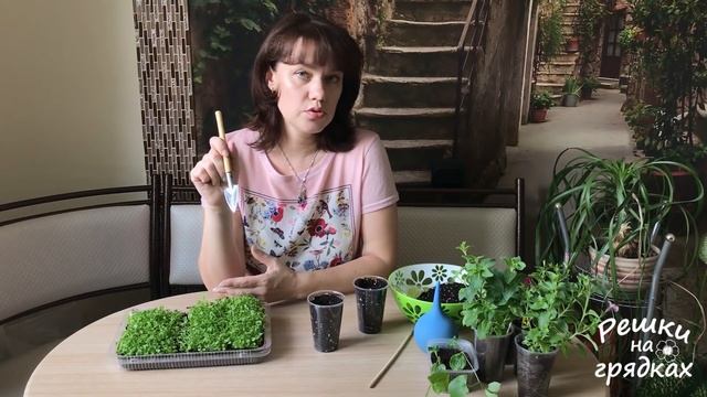 КОГДА и КАК пикировать лобелию? А это очень легко и просто!!!