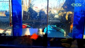 ПТИЧИЙ РЫНОК ХАРЬКОВ за четыре дня до войны!