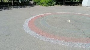 Кастинговая сеть леска\капрон