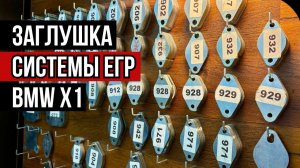 Заглушка ЕГР и удаление вихревых заслонок BMW X1. Отключение экологии БМВ Х1