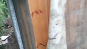 Сарай для кур своими руками. утепляем. из отходов. из подручных материалов