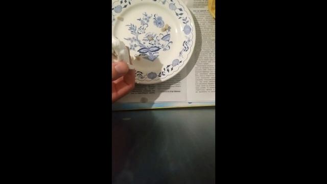 ПОДГОТОВКА КОСТОЧЕК ЛИМОНА К ПОСАДКЕ. ОБЗОР ВОСЬМИДНЕВНЕГО РОСТКА ЛИМОНА!