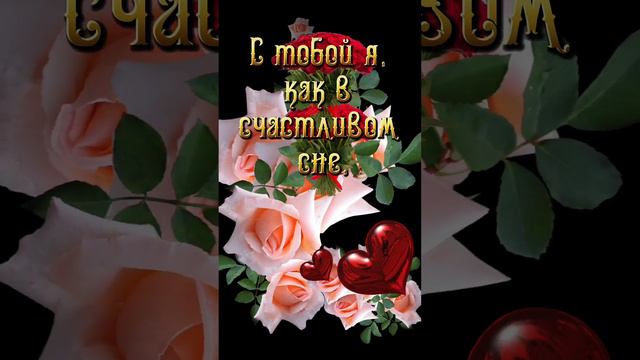 #букетцветов #розы #длянастроения #длятебя смотреть онлайн