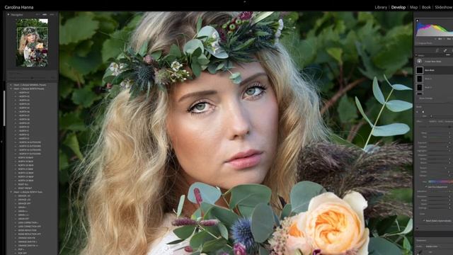 North Collection Brushes for Lightroom + Adobe Camera Raw смотреть онлайн